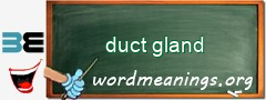 WordMeaning blackboard for duct gland